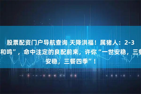 股票配资门户导航查询 天降洪福！属猪人：2-3月“凤鸾和鸣”，命中注定的良配前来，许你“一世安稳，三餐四季”！